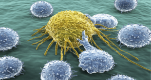 الكشف عن طريقة جديدة "محيّرة" لعلاج السرطان