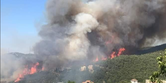 نائبان لبنانيان يشكران سوريا على المساعدة بإطفاء الحرائق