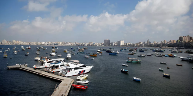 سر تغير لون أحد شواطئ الإسكندرية للون الأخضر