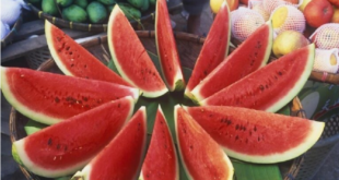 علامات في البطيخ تجعله خطراً على الصحة العامة