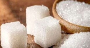استئناف إنتاج السكر في سورية قريباً