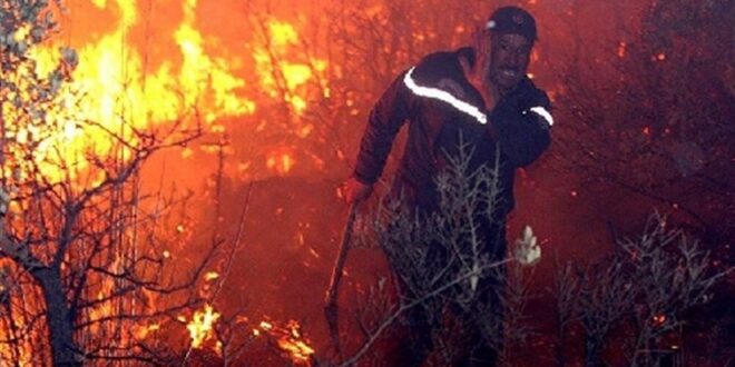 حرائق الغابات تستعر بالجزائر وتودي بحياة 42 شخصا بينهم جنود