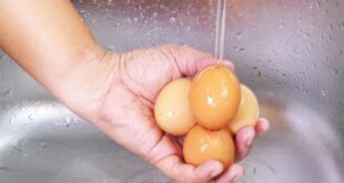 هل يجب غسل البيض قبل وضعه في الثلاجة؟