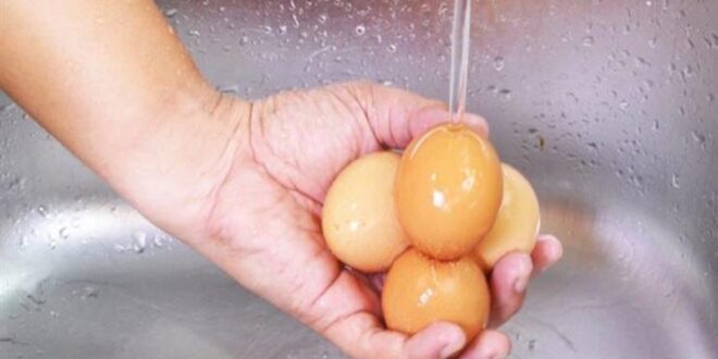 هل يجب غسل البيض قبل وضعه في الثلاجة؟