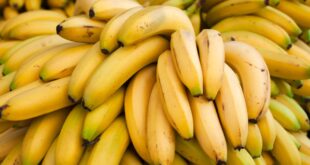 رجل أعمال سوري :الموز ببلد اوربي ما يعادل 3200 ليرة و في سورية ب 18الف!!