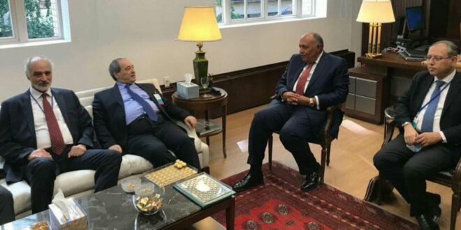 لقاء بين وزير الخارجية المصري ونظيره السوري
