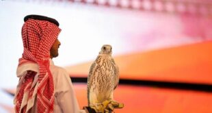 السعودية..بيع أغلى صقر "جير" في العالم بمبلغ يقارب النصف مليون دولار! (صورة)