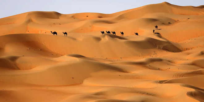 علماء آثار يؤكدون أن شبه الجزيرة العربية كانت