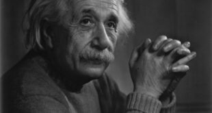 قصة سرقة دماغ أينشتاين بعد وفاته واللعنة التي أصابت سارقه