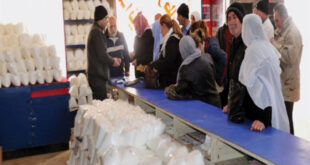 السورية للتجارة: يمكن لأي شخص تبديل مخصصات الرز المصابة بالتسوّس