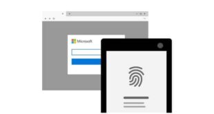 حسابات مايكروسوفت لم تعد بحاجة إلى كلمة مرور