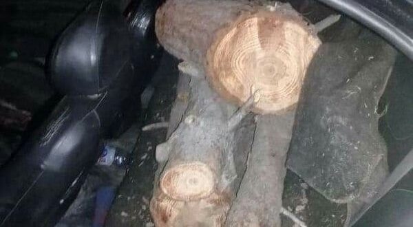 بكمين ليلي.. حجز سيارة و 3 دراجات نارية محملة بـ أخشاب حراجية في موقعين بـ حمص