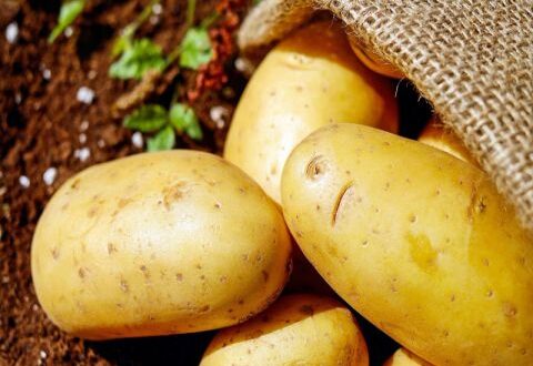 كيلو البطاطا إلى 1800 ليرة.. من تاجر