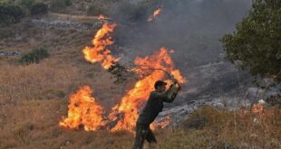 سوريا: تنفيذ حكم الاعدام ب ١٤ مجرم أشعلوا الحرائق