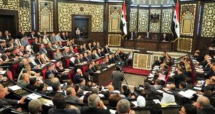 عضو مجلس شعب يتهم الحكومة بمخالفة الدستور