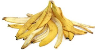 فوائد قشر الموز تخفف الألم وتعالج حب الشباب