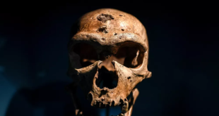 نوع من البشر كان يعيش قبل 500 ألف عام