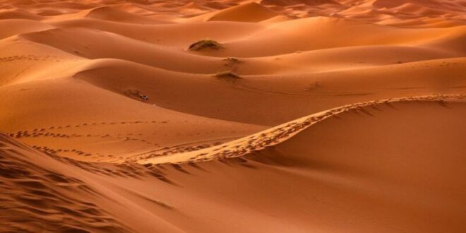 سوداني يعلق بصحراء سعودية ليومين.. وهذا ما حدث