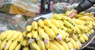 كيف انخفضت بورصة الموز من