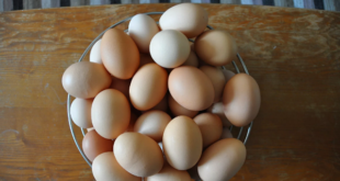 طريقة خاطئة عند سلق البيض تسبب التهاب الأمعاء
