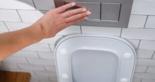 دولة أوروبية تصنف”صوت المرحاض” جريمة ضد الإنسانية