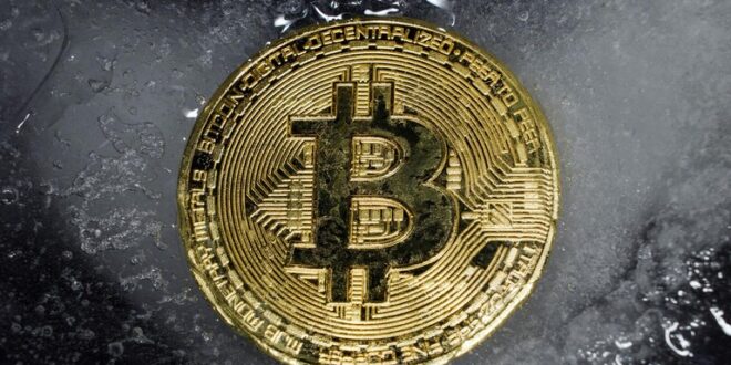 قيمة عملة البيتكوين
