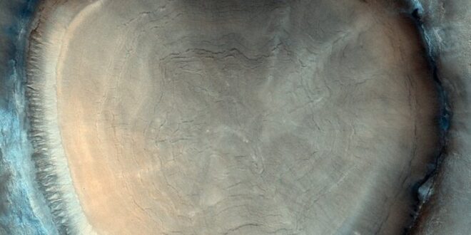 لغز "جذع شجرة" على سطح المريخ.. ورواية العلماء