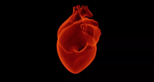 كيف تحسب المعدل الآمن لضربات قلبك