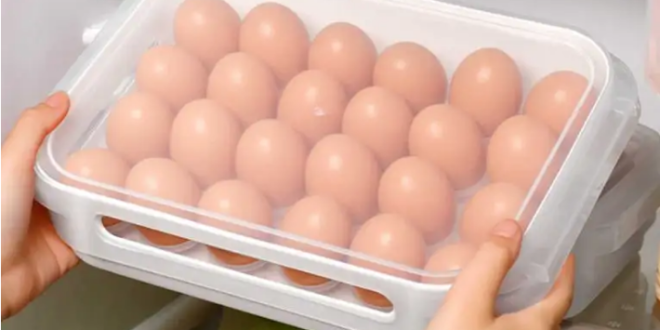 احذر وضع البيض في باب الثلاجة