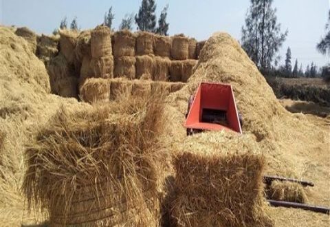 في هذه البلاد طن التبن بـ800 ألف ليرة