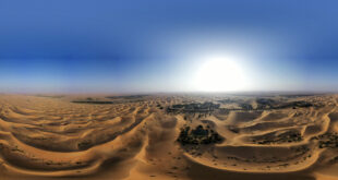 أبو ظبي تكتشف كنوزا "استثنائية" تعود إلى أكثر من 8500 عام... صور