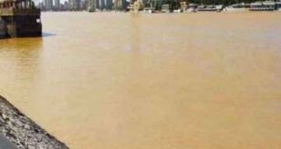 تغير مفاجئ في لون مياه النيل يُثير الذعر في مصر