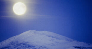 "قمر الثلج" يطلّ مكتملا في سماء الليل مع ظهور "نادر" لعطارد و"قلب الأسد"