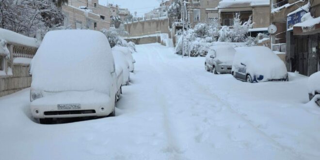 ثلوج الحسكة تبشّر بموسم زراعي جيد.. هل يعود قمح الجزيرة المفقود؟
