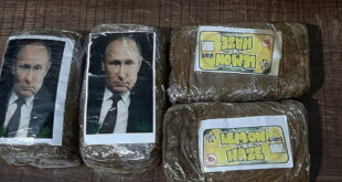 صور بوتين على 300 رزمة حشيش تم ضبطها في ليبيا