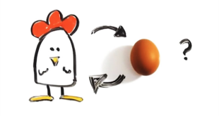 البيضة جاءت أولاً ..بل الدجاجة جاءت أولاً ..العلم يحسم الجدلية بالأدلة