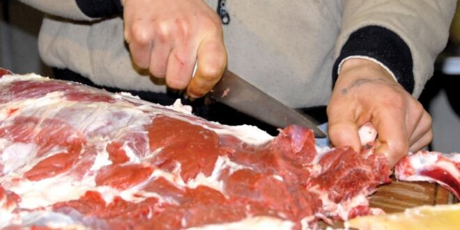 تأثير الحرب الأوكرانية يصل إلى سوق اللحوم السورية والسبب أسعار الأعلاف