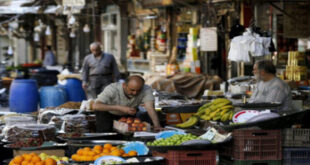 استاذ في كلية الاقتصاد: على الدولة السورية