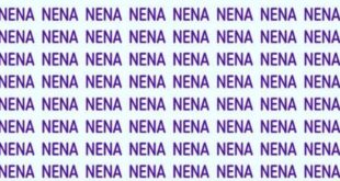 كم استغرقت من الوقت لإيجاد كلمة “NENE”؟.. ركز قبل أن تجيب