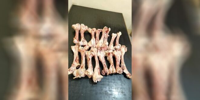 صور تثير الجدل في مصر.. توزيع "العظام" على الفقراء