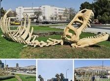 مجسمات لديناصورات في ساحة الامويين بدمشق تثير ضجة على مواقع التواصل.. ما القصة؟