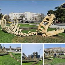 مجسمات لديناصورات في ساحة الامويين بدمشق تثير ضجة على مواقع التواصل.. ما القصة؟