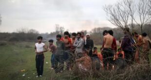 بينهم سوريون.. العثور على عشرات المهاجرين شبه عراة في إحدى غابات تركيا