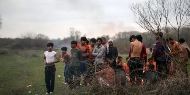 بينهم سوريون.. العثور على عشرات المهاجرين شبه عراة في إحدى غابات تركيا
