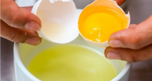 البيض النيء.. بين الفوائد والأضرار