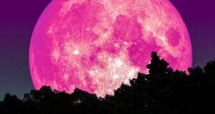 القمر الوردي اليوم يؤكد ليلة النصف من رمضان
