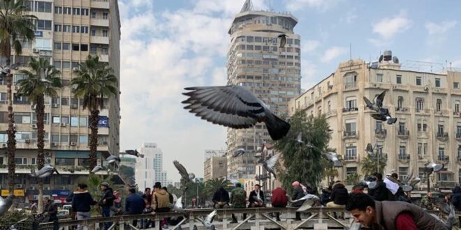 وزارة الكهرباء السورية تنفي صدور تعرفة جديدة للتغذية الكهربائية