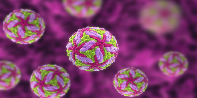 "فيروس نادر" يثير الرعب مع ارتفاع إصابات أمراض الدماغ القاتلة في الولايات المتحدة