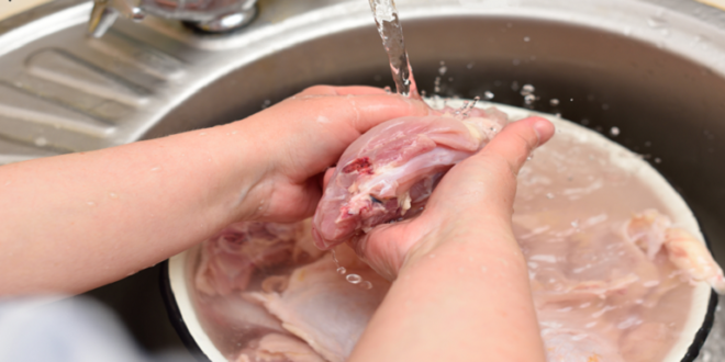 العلماء يوضّحون كيفية غسل لحم الدجاج بأمان!