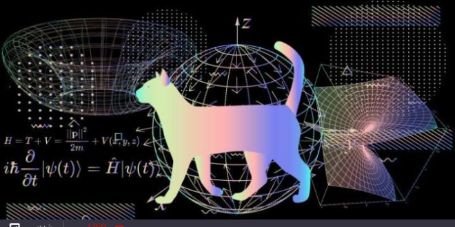«قطة شرودنجر» تحل معضلة حسابية ظلت «مستحيلة» على الحل 243 سنة!